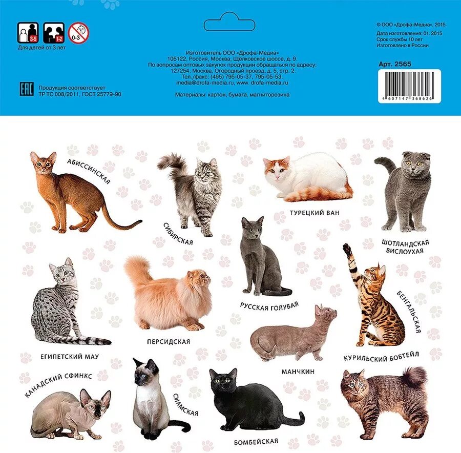 Разные породы кошек. Список пород кошек. Породы кошек и их названия на русском. Кошки разных пород и их названия.