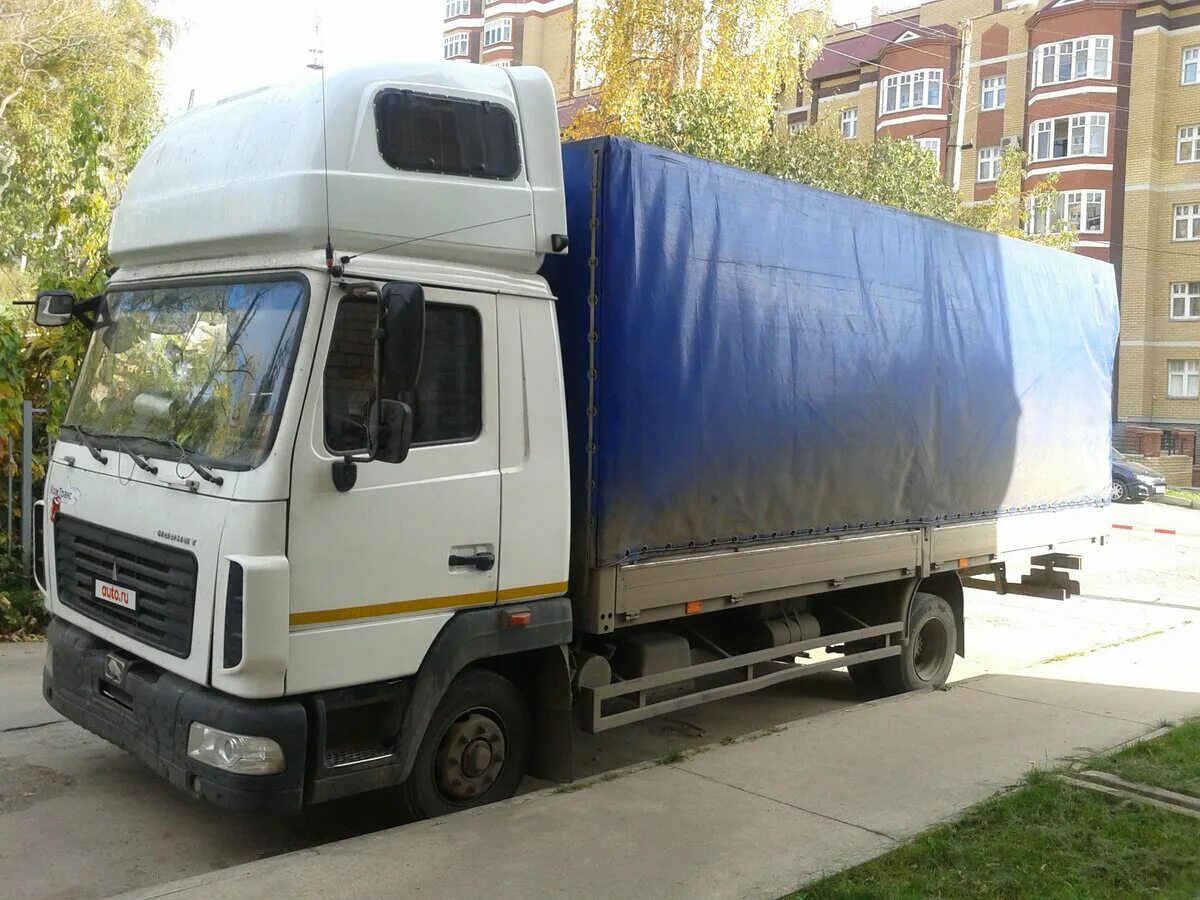 маз 4371р2-432-000. маз зубренок 4371 корнет.