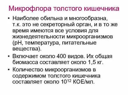 Какую положительную роль играет микрофлора толстого кишечника