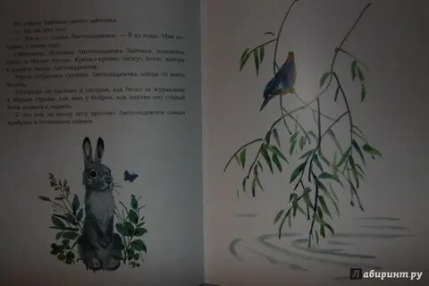 Листопадничек энциклопедия или справочник