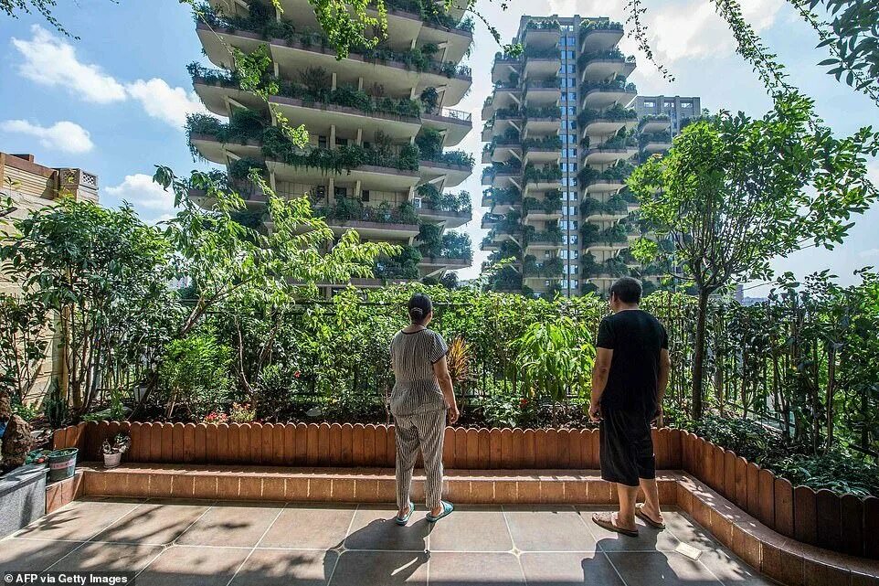 Жилой комплекс QIYI City Forest Garden. Сити Форест Гарден Китай Чэнду. Зелёные дома «QIYI City Forest Garden» в Ченду (Китай). Чэнду Китай вертикальный лес. Китайский project