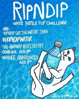 Bottle песни