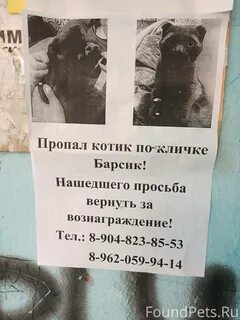 Объявление о пропаже телефона