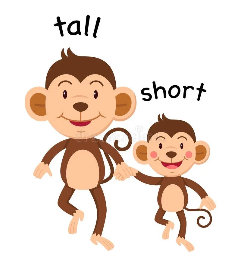 Tall short. Картинки Tall short. Tall short for Kids. Tall short opposites.