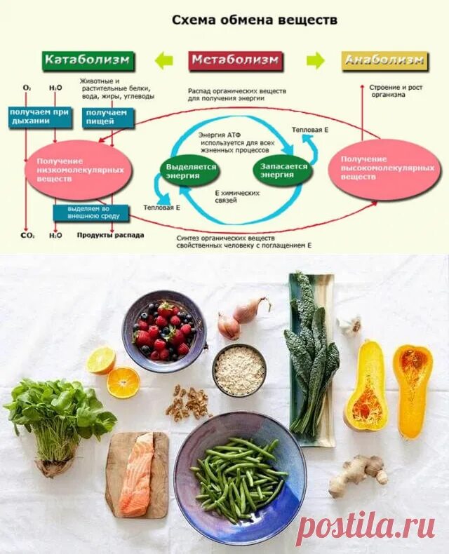 Обмен веществ минеральное питание. Как увеличить скорость обмена веществ в организме. КМК ускорить общем веществ. Продукты ускоряющие метаболизм. Пища повышающая метаболизм.