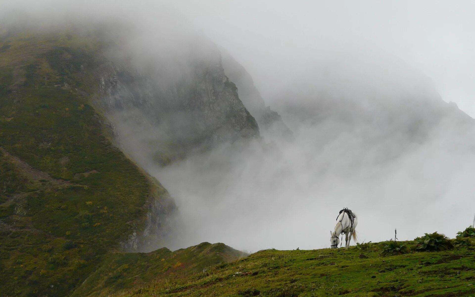 Спустился с холма. Горы туманные сохры Дагестан. Зеленые холмы Дагестан. Утес в Дагестане. Горы в тумане.
