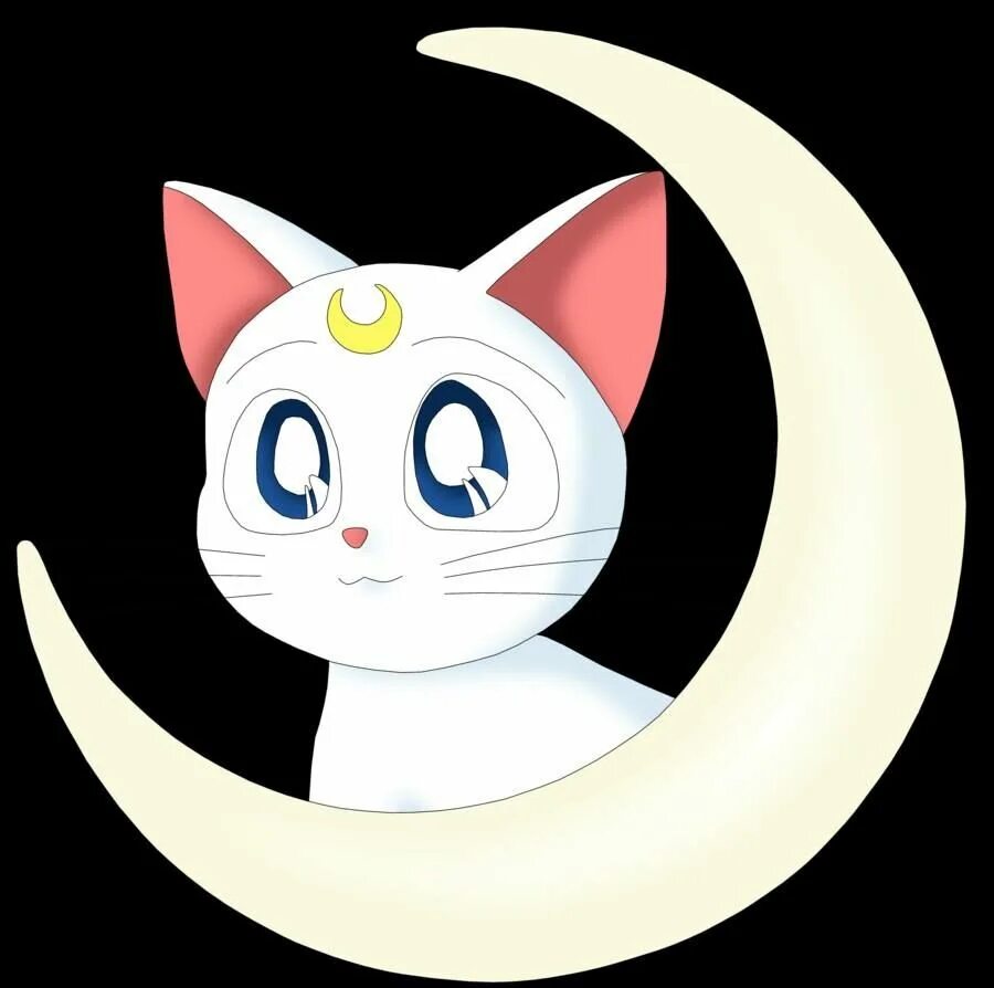 Sailor Moon Луна кошка. Кошка Луна из Сейлор Мун. Сейлормун кот Артемис. Сейлор Артемис кошка. Кошка муна