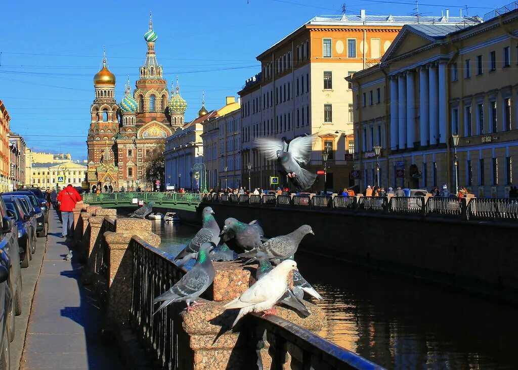 Что где есть в петербурге