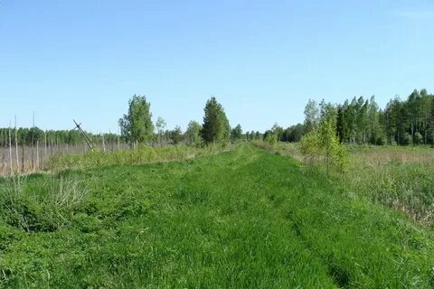 Решетниково московская область