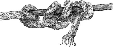 Twisted rope stock vector. 
