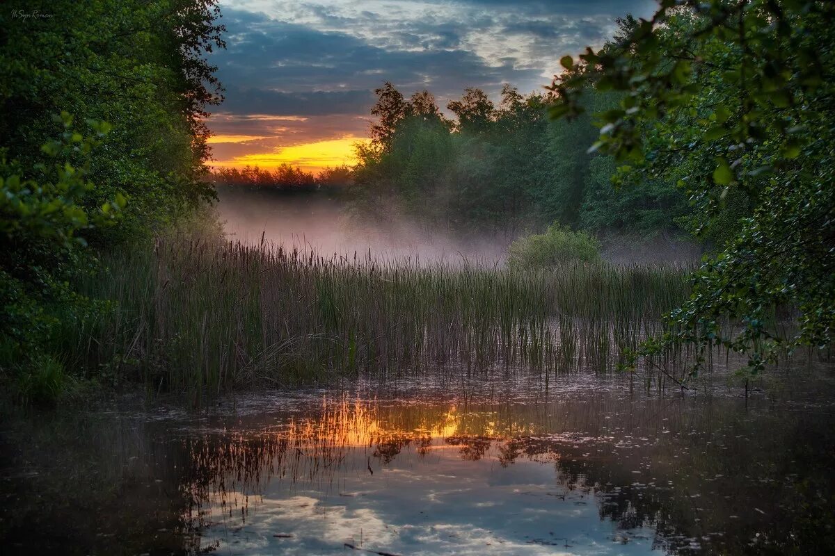 Рассвет на болоте. Раннее утро на озере. Туман над прудом. Рассвет на реке.