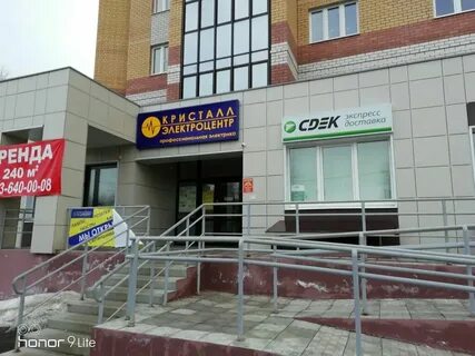 Сдэк кострома березовая роща
