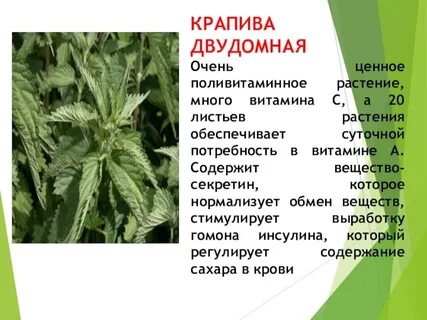 Крапива двудомная состав