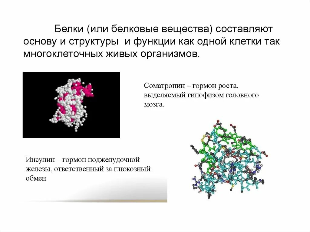 Инсулин и гормон роста. Белки вещества. Соматропин белковый гормон?. Соматотропин выделяется. Белковые гормоны (соматотропин, инсулин).