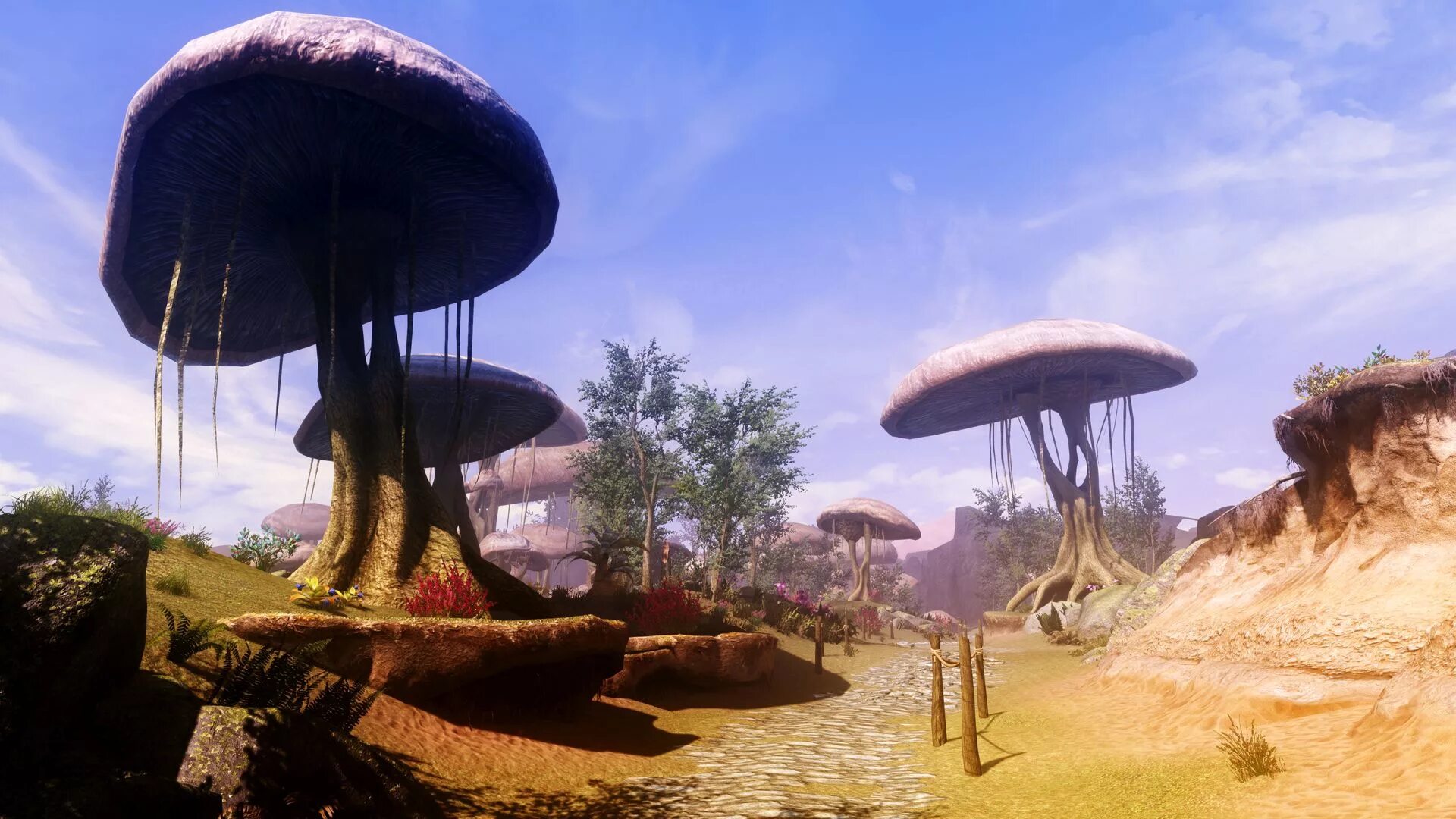 Skywind дата выхода. Skywind 2025. скайвинд 2025. скайвинд 2025. скайвинд в 2025.