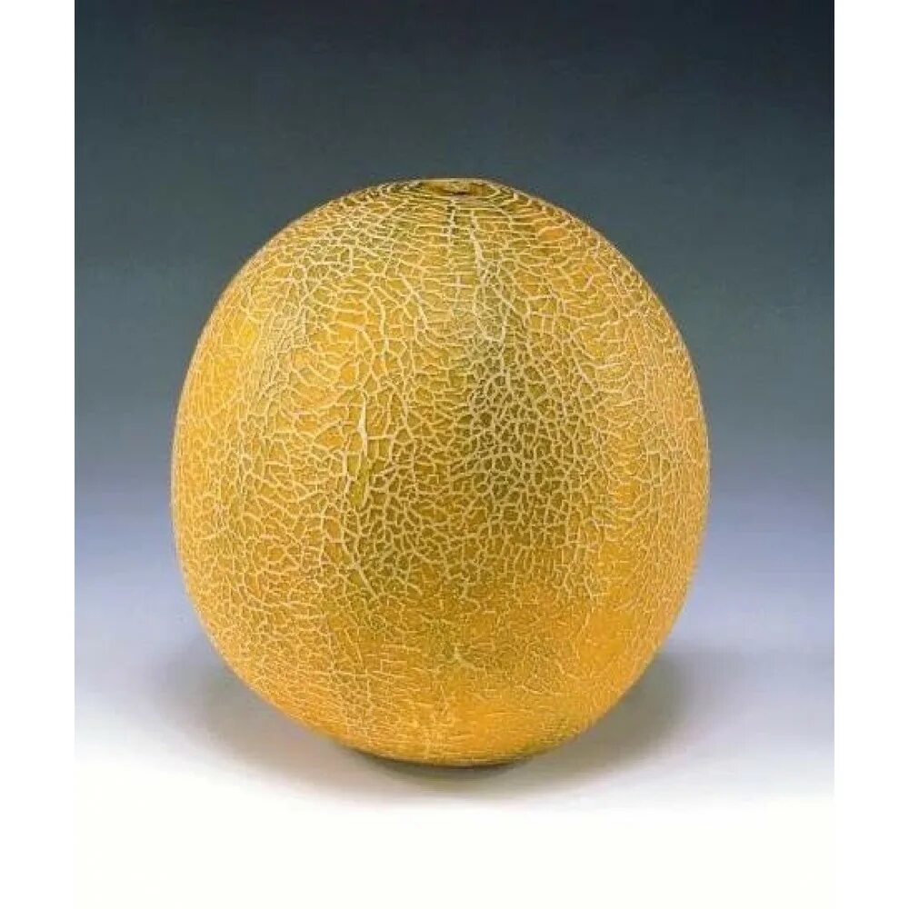 Семена гавриш sakata дыня айкидо f1 5 шт. Дыня айкидо f1 5 шт престиж. Дыня айкидо f1. Дыня айкидо f1 5 шт престиж. Семена дыня айкидо f1.