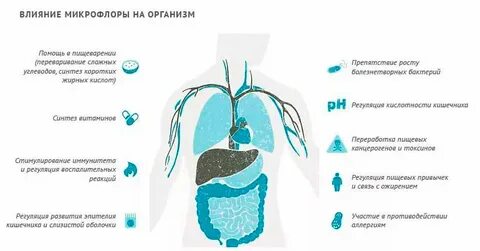 Как восстановить организм после приема антибиотиков
