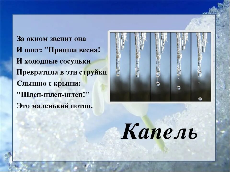 Капели звонкие стихов. Загадка про весеннюю капель. Загадка про капель.