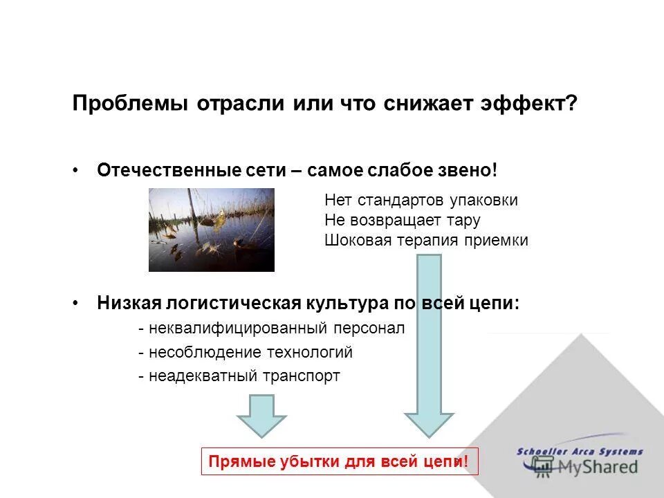 явление снижения цен