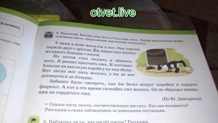 У нас под крыльцом жил еж. У меня дома жил еж сначала он мирно. Текст у меня в доме жил еж сначала он мирно пил. У меня в доме жил еж сначала он мирно пил молоко вместе с котом Данилом. Дмитриев у меня в доме жил ёж и кот.