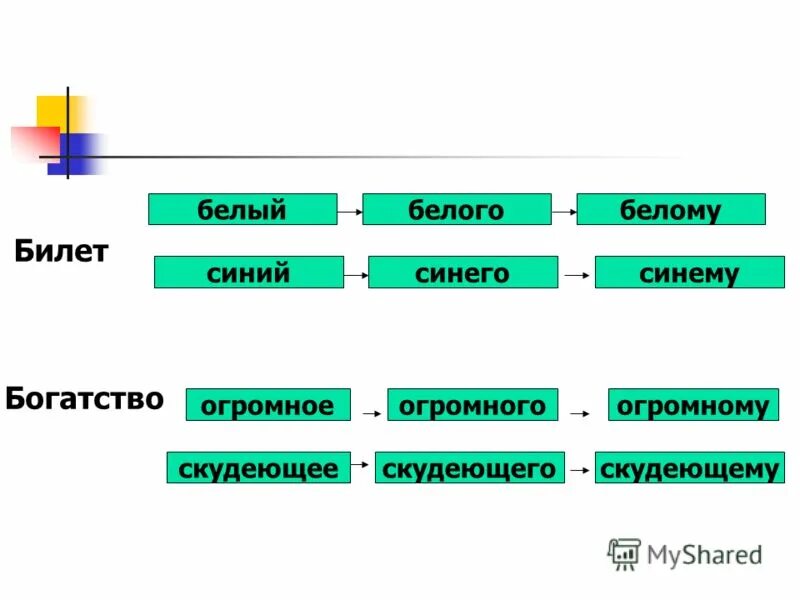 белый средний род