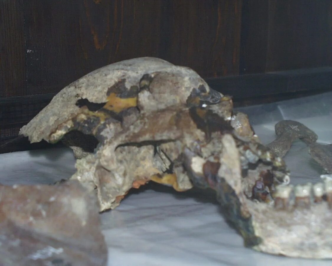 Останки романовых. Останки романовых. Останки царской семьи романовых. Останки романовых. Останки романовых.