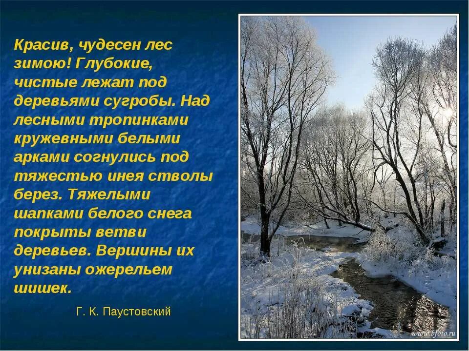 Описание про природу. Описание природы. Сочинение описание природы. Красивые описания природы. Художественное описание природы.