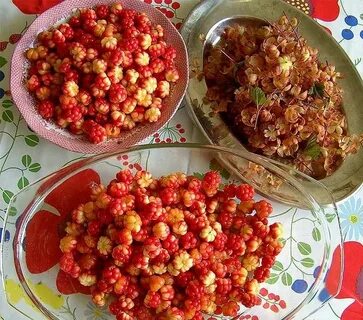 Морошка заваривать