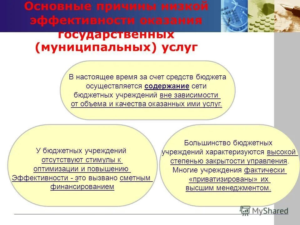 Муниципальная услуга дошкольного образования. Муниципальная услуга дошкольного образования