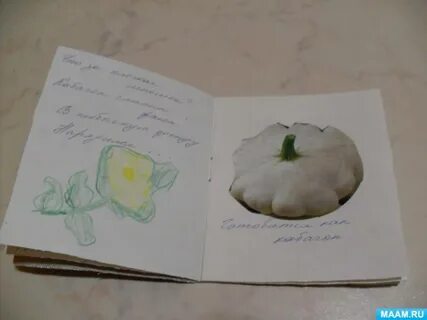 Книжка овощи своими руками