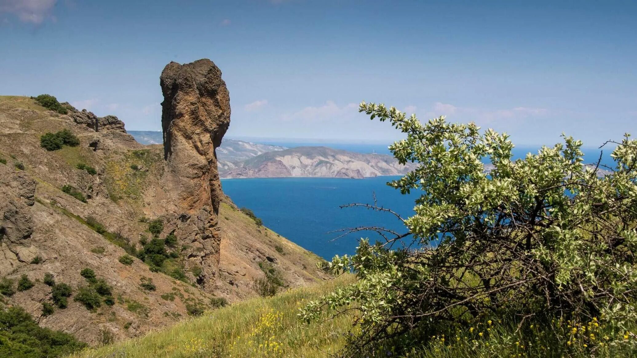 Где в крыму заповедники. Заповедники Крыма Карадагский заповедник. Феодосия Карадагский заповедник. Крымский заповедник Алушта. Карадагский заповедник Крым фауна.