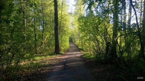 Экопарк тюмень