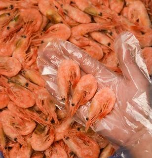 Креветки краснодар