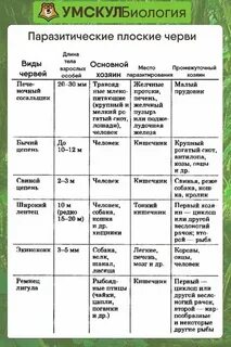 Растения биология огэ теория