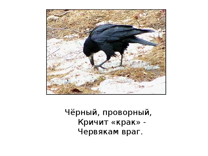Загадка с отгадкой подъезд. Загадки про войну. Загадка про танк для детей. Загадки про огонь для малышей. Стихи про огонь для детей.