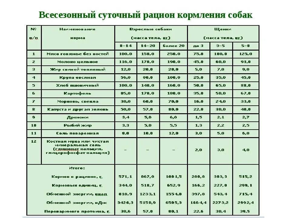 Как рассчитать корм для собаки. Нормы кормления собак натуральным кормом таблица. Таблица питания щенка немецкой овчарки. Рацион кормления щенка немецкой овчарки 1 месяц. Суточный рацион питания немецкой овчарки.