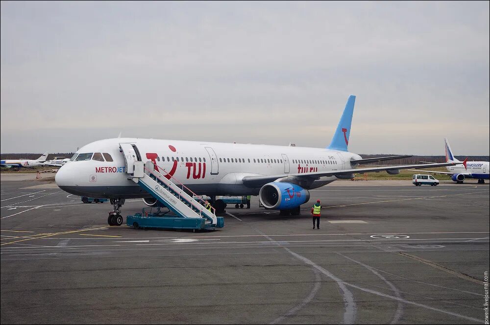 Гид домодедово. Винегрет кафе шереметьево. Лечу домодедово. Ресторан едим-летим аэропорт домодедово. Лечу домодедово.