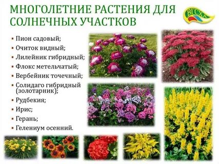 Список садовых