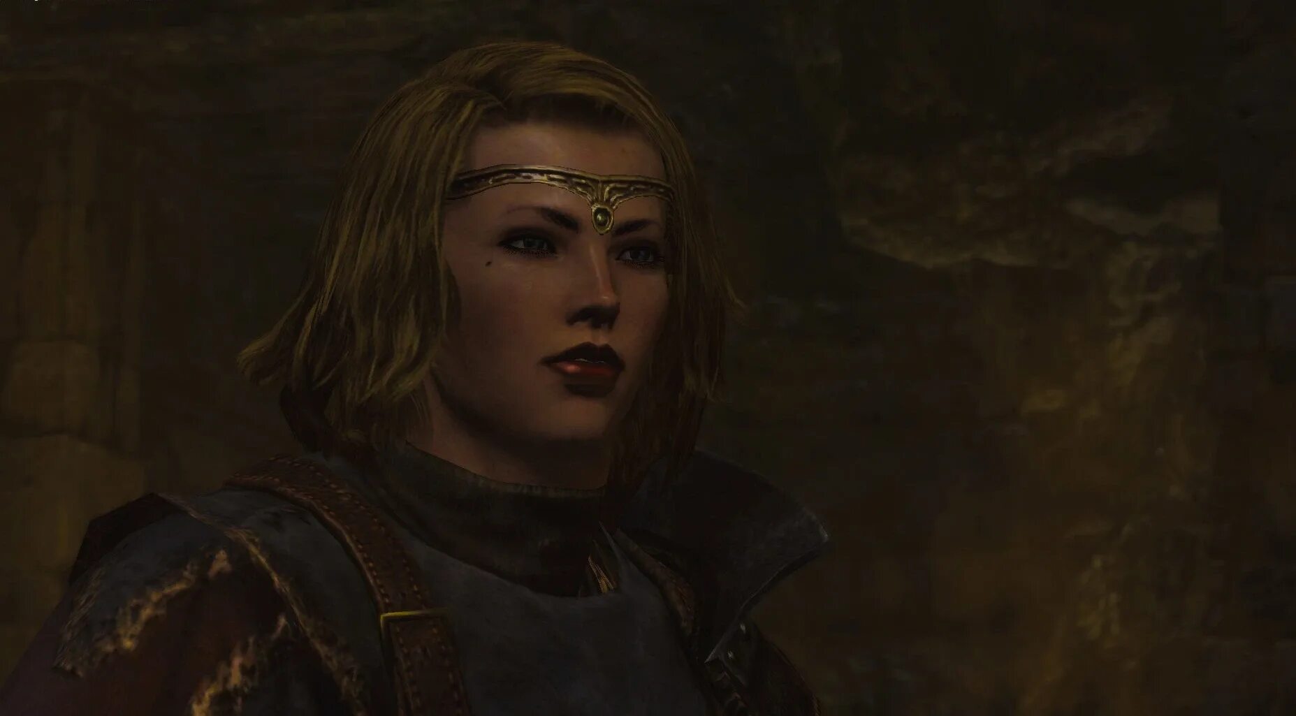 Dragons dogma nexus mods