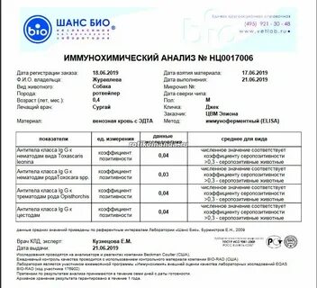 Исследование шанс