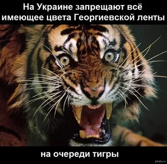 Не слишком подходит
