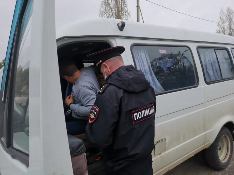 Новости камышина происшествия сегодня инфокам. Новости камышина происшествия сегодня инфокам. Форд на улице. Новости камышина происшествия сегодня инфокам. Инфокам камышин происшествия дтп.