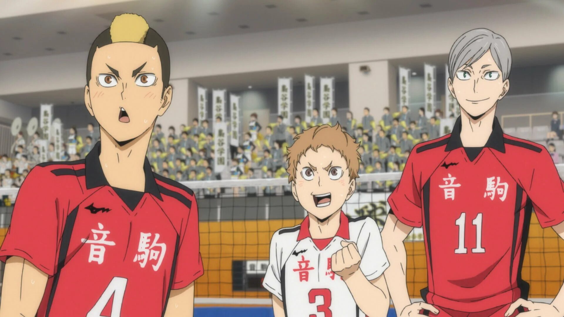 Львы про волейбол. Лев хайба волейбол. волейбол некома лев. лев хайба арт.