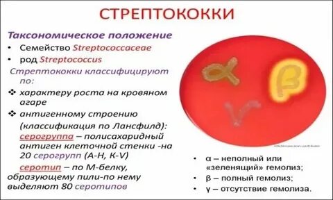Препараты для лечения стрептококков