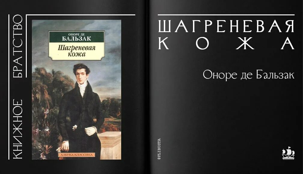 Оноре де Бальзак Шагреневая кожа. Шагреневая кожа Оноре де Бальзак книга. «Шагреневая кожа» (1831 г.).