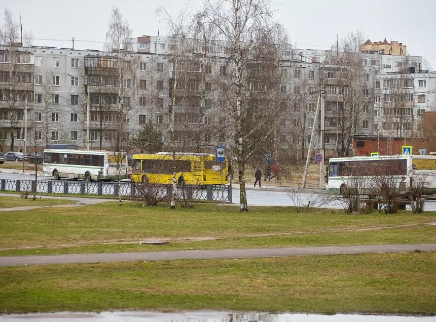 Рокоссовского автобусов псков. Рокоссовского автобусов псков