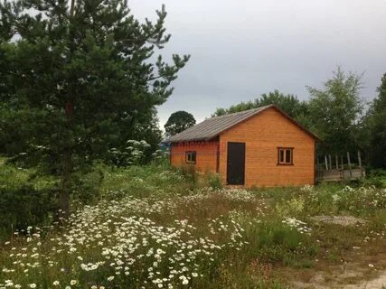 Погода ленинградские плодовые