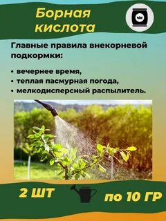 Средство от муравьев в доме борная кислота
