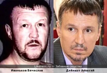 Фото япончика сходство
