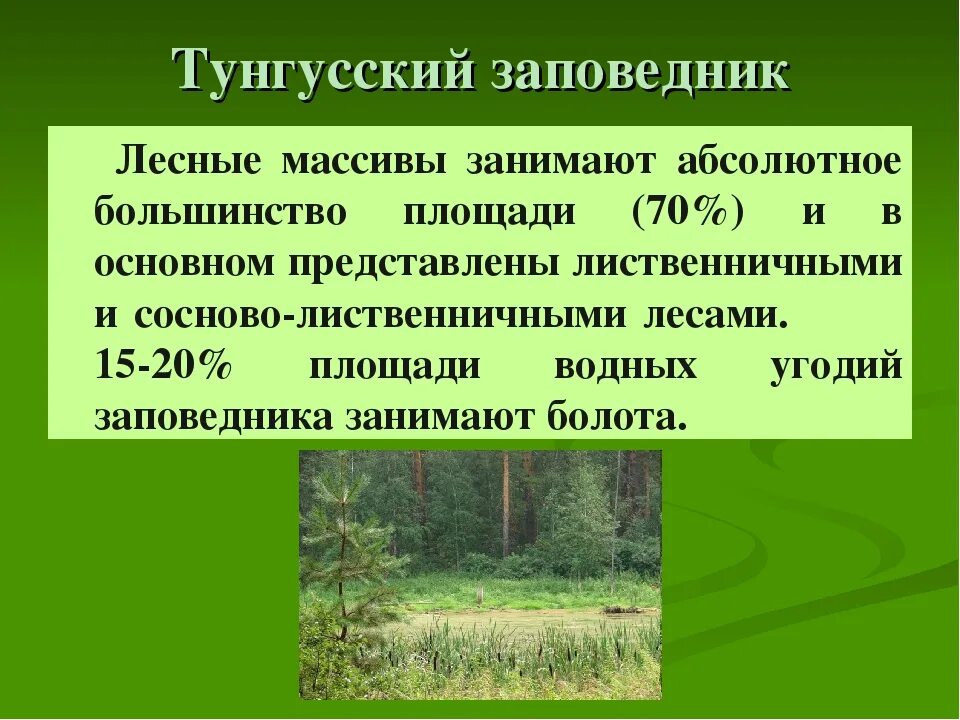 В какой зоне находится красноярский край. Тунгусский природный заповедник. Тунгусский заповедник Красноярского края. Тунгусский заповедник презентация. Тунгусский заповедник описание.